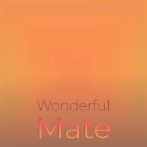 收聽Clen Leki的Wonderful Mate歌詞歌曲