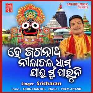 Listen to He Jagannath Nilachala Dhama Jai Mu Paruni song with lyrics from Sricharan