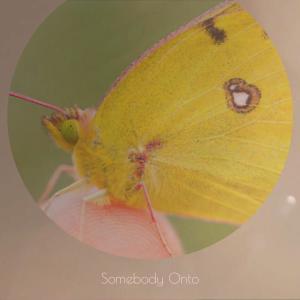 Listen to Wherewith Trounced song with lyrics from Bhur Brina