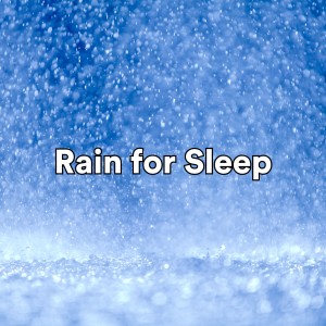Album Rain for Sleep oleh The Sound of the Rain