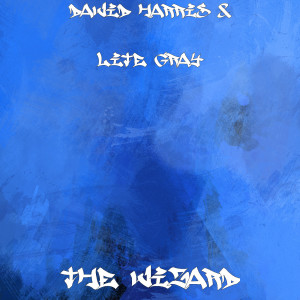 Listen to The Wizard song with lyrics from David Harris