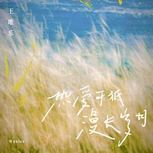 Album 热爱可抵漫长岁月 from Wesler Wang