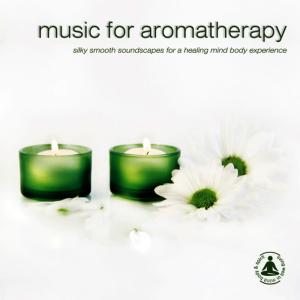 ดาวน์โหลดและฟังเพลง Camomile พร้อมเนื้อเพลงจาก Geraint Hughes