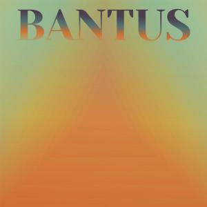 อัลบัม Bantus ศิลปิน Various Artists