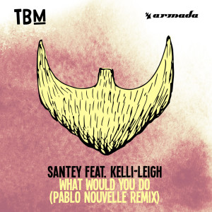 ดาวน์โหลดและฟังเพลง What Would You Do (Pablo Nouvelle Remix) พร้อมเนื้อเพลงจาก SANTEY