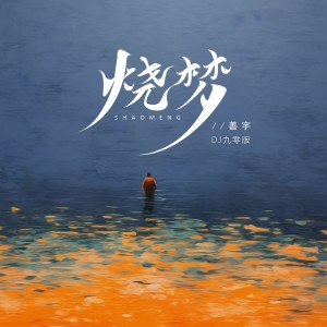 Album 烧梦(DJ九零版) oleh 善宇
