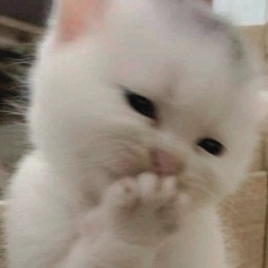 ดาวน์โหลดและฟังเพลง Monday (Explicit) พร้อมเนื้อเพลงจาก Daryl