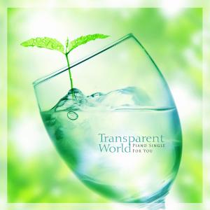 A transparent world