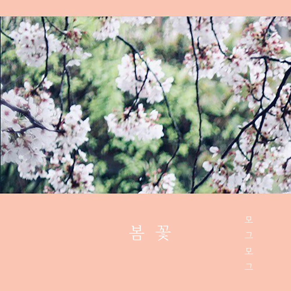 봄꽃