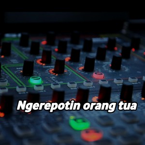 Album Ngerepotin Orang Tua from Aan Fvnky