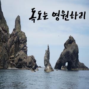 안세권的專輯독도는 영원하리