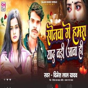 Album Sonwa Ge Hamra Yaad Badi Aba Hi from 