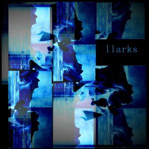 Dengarkan Migration lagu dari Llarks dengan lirik