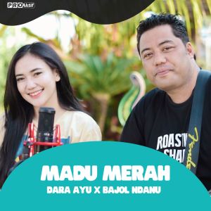 Dengarkan Madu Merah lagu dari Dara Ayu dengan lirik