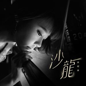 Listen to 沙龙 song with lyrics from MinChen (林明祯)