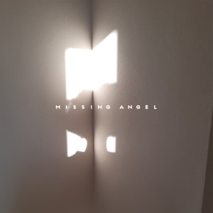 missing angel