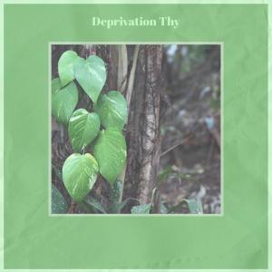 Listen to Destroyed Life song with lyrics from Teki