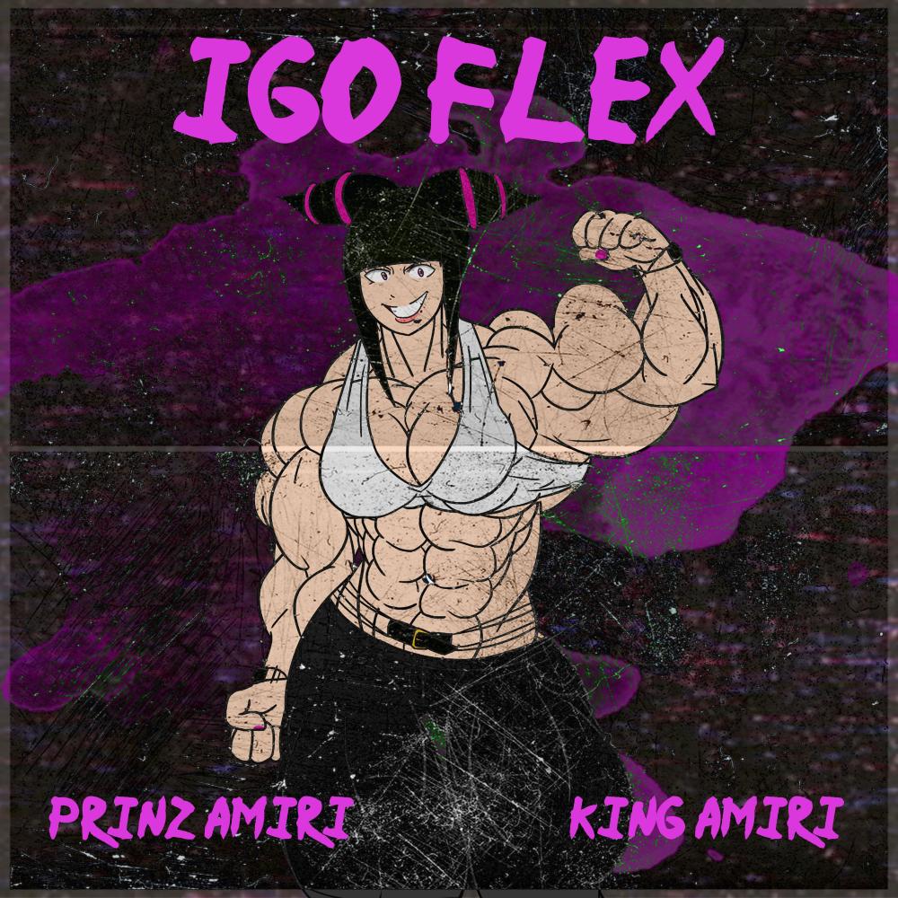 IGO Flex (feat. King Amiri) (Explicit)