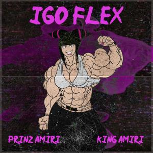 ดาวน์โหลดและฟังเพลง IGO Flex (feat. King Amiri) (Explicit) พร้อมเนื้อเพลงจาก Prinz Amiri