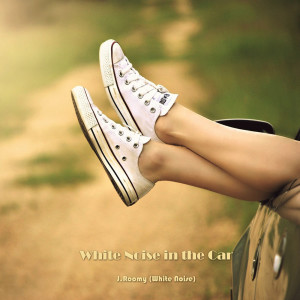Listen to White Noise in the Car (ASMR, Nature Sound) song with lyrics from J.Roomy
