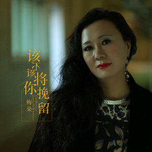 收聽梅朵的該不該將你挽留 (伴奏)歌詞歌曲