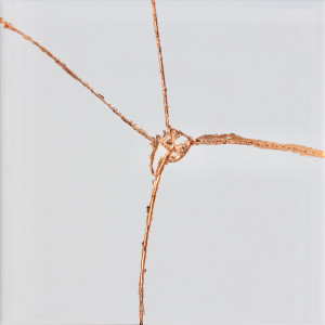 Listen to Fractures song with lyrics from Joshua Woolf