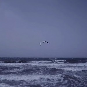 Listen to 山川与岛屿 (完整版) song with lyrics from hea2t