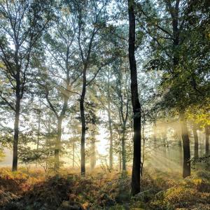Listen to Spiritual Cleansing song with lyrics from Sleep Sound Library