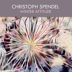 收聽Christoph Spendel的Snow Reggae歌詞歌曲