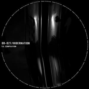 Various Artists的專輯HIBERNATION