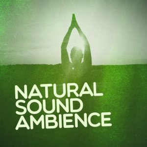 อัลบัม Natural Sound Ambience: Spa Sounds, Soothing Nature, Relaxation Music, Calming Nature ศิลปิน Various Artists