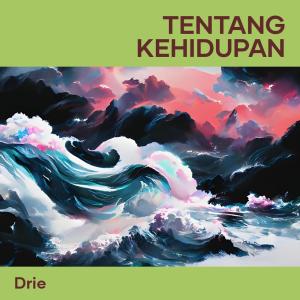 收聽Drie的Tentang Kehidupan (Cover)歌詞歌曲