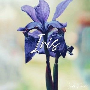 收聽Jada Facer的Iris歌詞歌曲