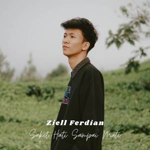 Album Sakit Hati Sampai Mati oleh Ziell Ferdian