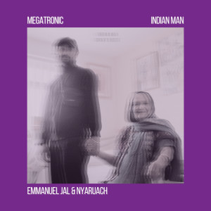 ดาวน์โหลดและฟังเพลง Sudan Module (Megatronic Version) พร้อมเนื้อเพลงจาก Indian Man