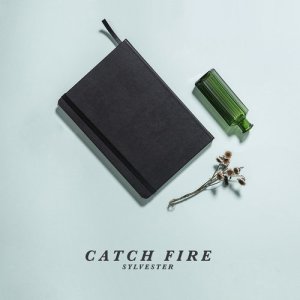 ดาวน์โหลดและฟังเพลง Sylvester พร้อมเนื้อเพลงจาก Catch Fire