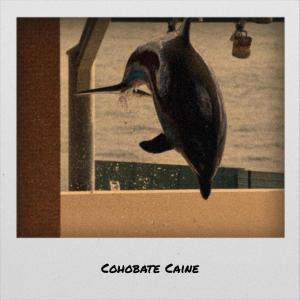 Album Cohobate Caine from Various