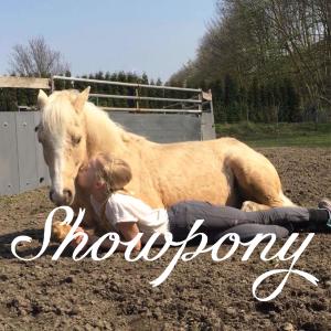 Showpony (Explicit)