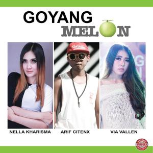 Listen to Dipikir Mikir song with lyrics from Arif Citenx