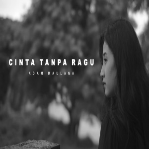 收听Adam Maulana的Cinta Tanpa Ragu歌词歌曲
