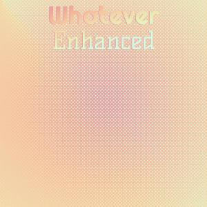 Various Artists的專輯Whatever Enhanced