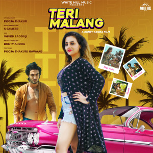 Dengarkan Teri Malang lagu dari Pooja Thakur dengan lirik