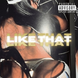 Album Like That (Explicit) from Burn Da General