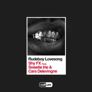 ดาวน์โหลดและฟังเพลง Rudeboy Lovesong (feat. Sweetie Irie & Cara Delevingne) พร้อมเนื้อเพลงจาก Shy Fx