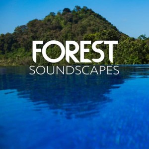 ดาวน์โหลดและฟังเพลง Woodland Opening พร้อมเนื้อเพลงจาก Forest Soundscapes