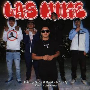 อัลบัม Las Nike (feat. El Baby Gali, O Neall, Ache & Jose Joa) ศิลปิน Sandunga INC