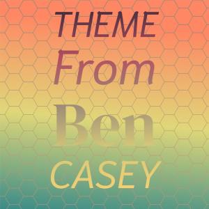 Listen to Theme From Ben Casey song with lyrics from Valjean Johns