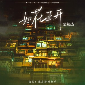 Album 如花正开（男声版） oleh 常颖杰