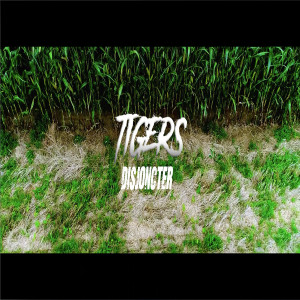 Dengarkan lagu Disjoncter (Explicit) nyanyian Tigers dengan lirik