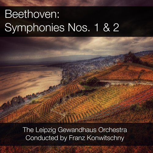 Symphony No. 2 in D Major, Op. 36: II. Larghetto